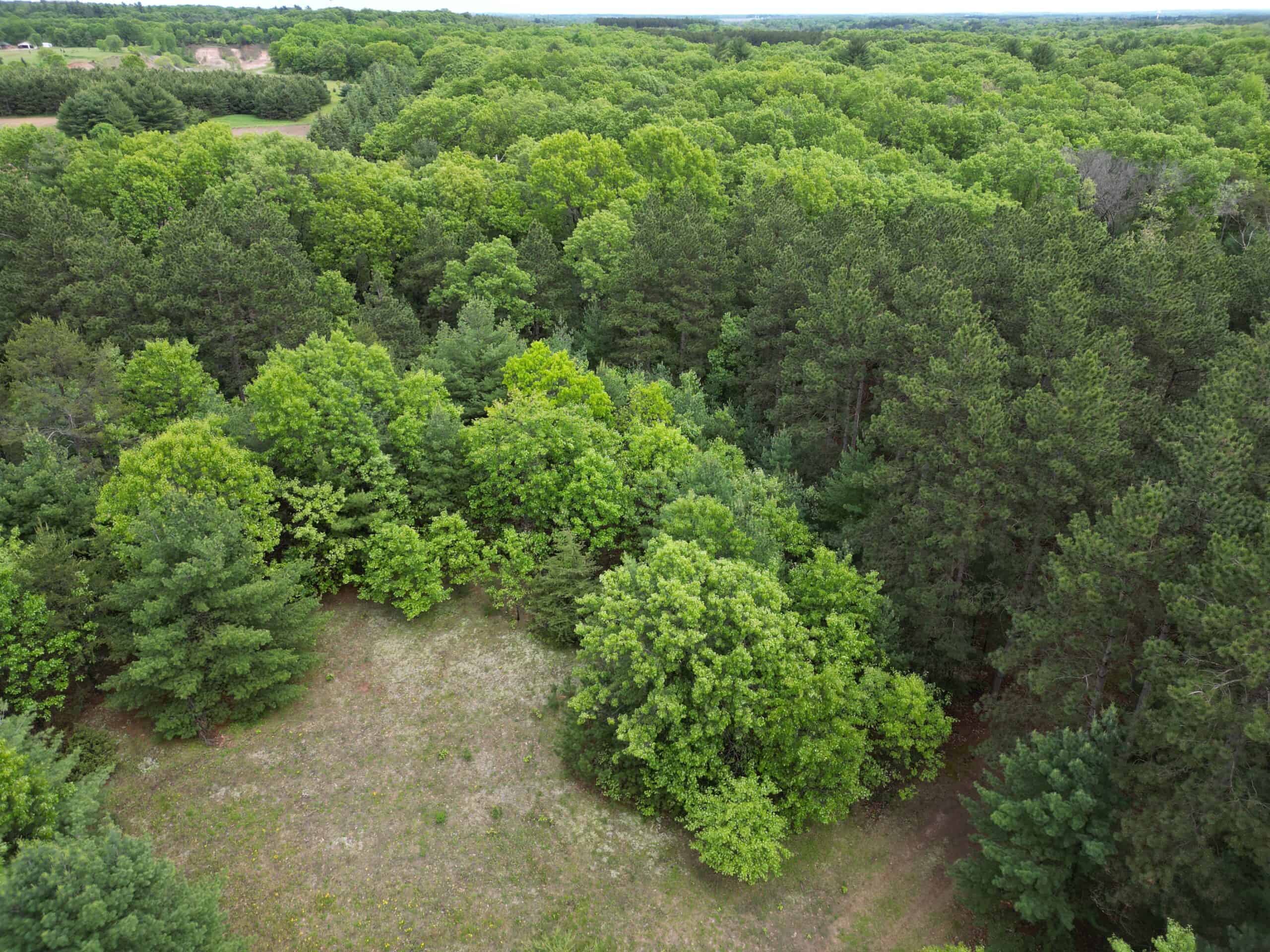 52 +/- Acres Located in Waushara County