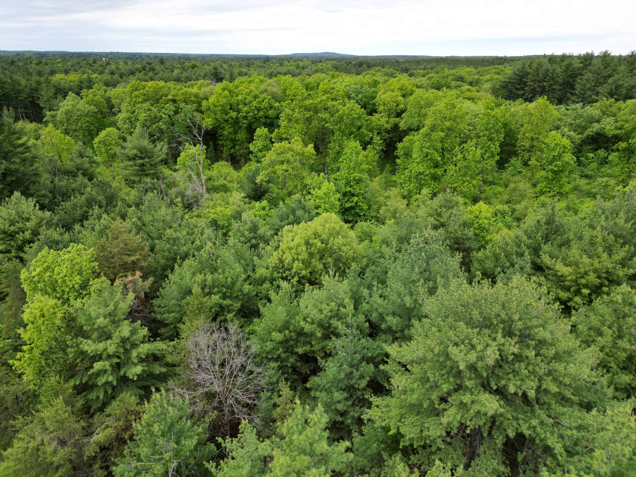 52 +/- Acres Located in Waushara County