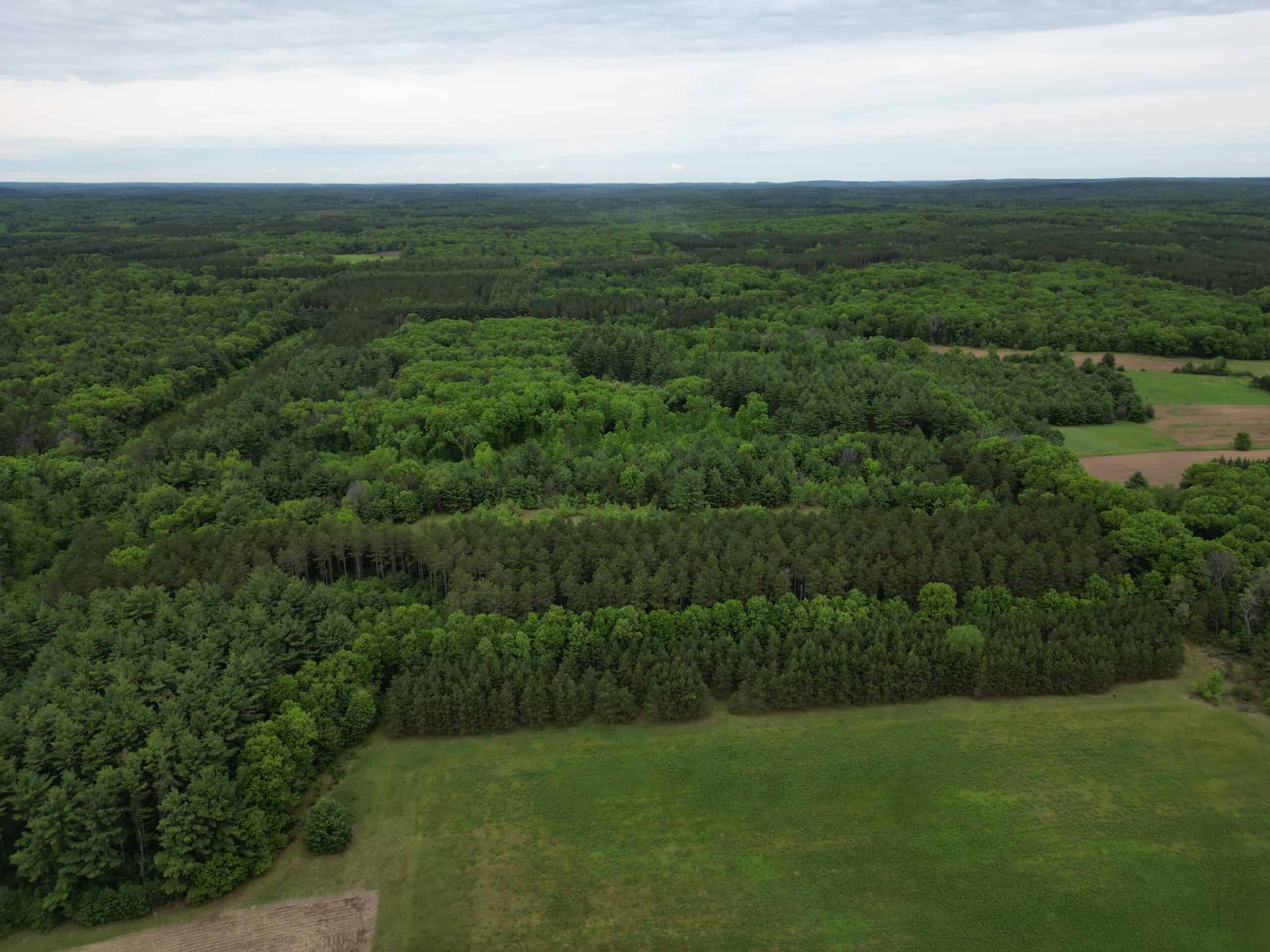 70+/- Acres Located in Waushara County