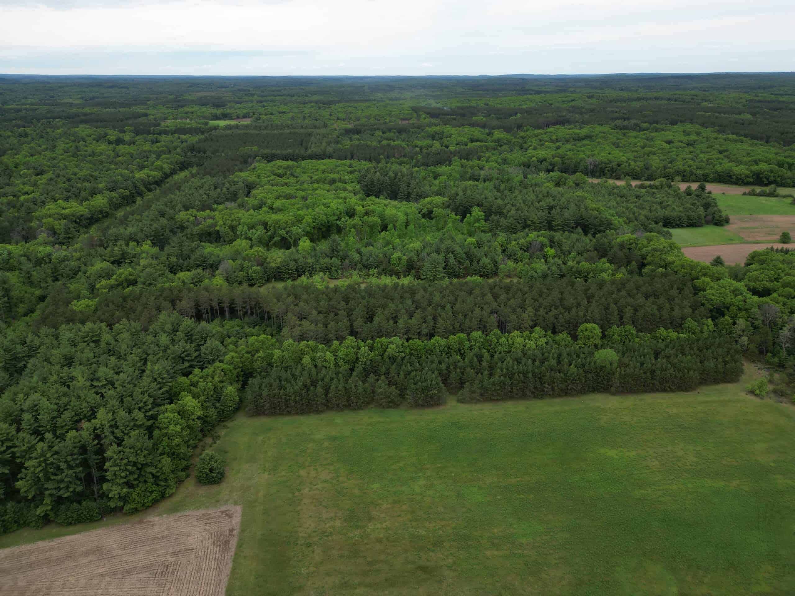 52 +/- Acres Located in Waushara County