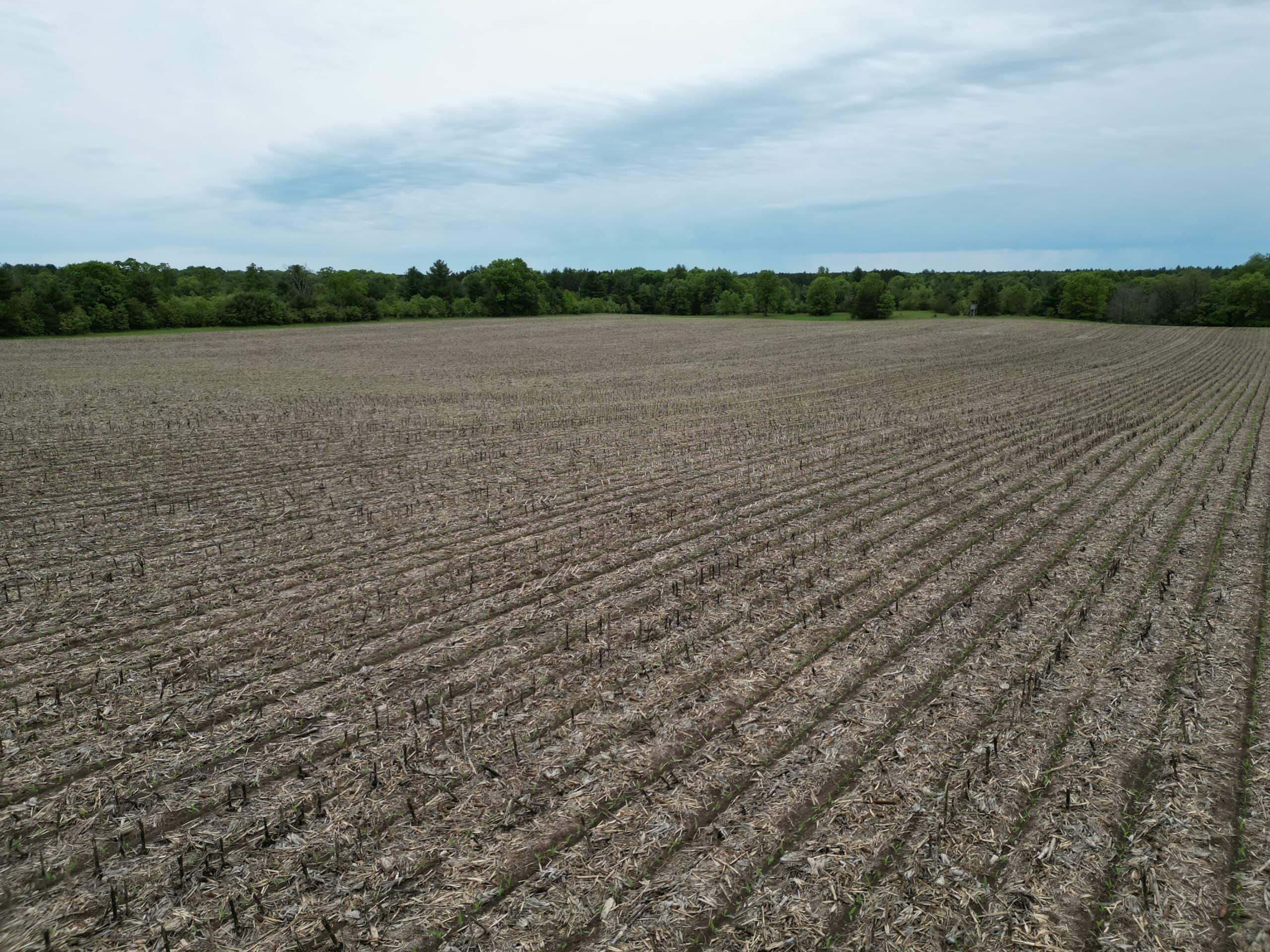 70+/- Acres Located in Waushara County