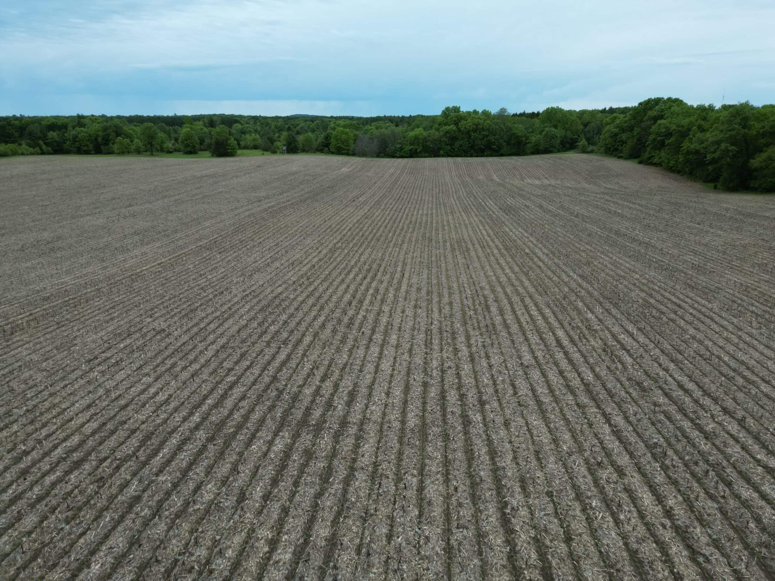 70+/- Acres Located in Waushara County