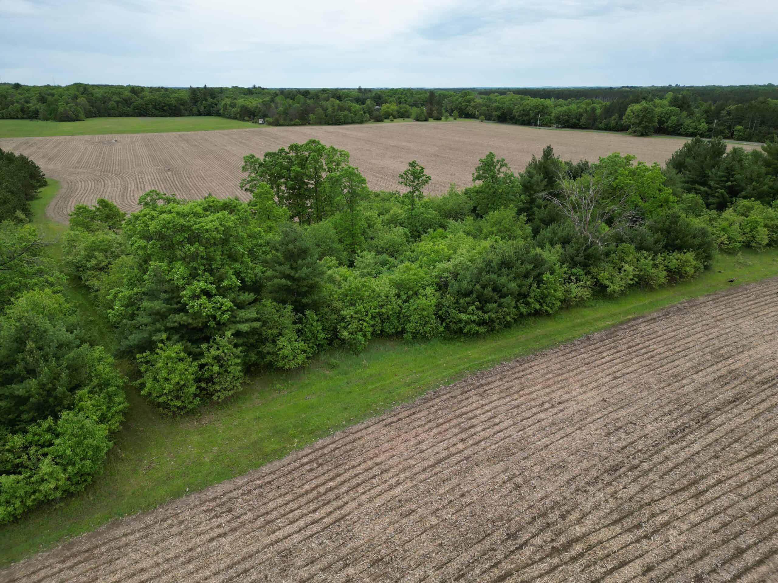 70+/- Acres Located in Waushara County