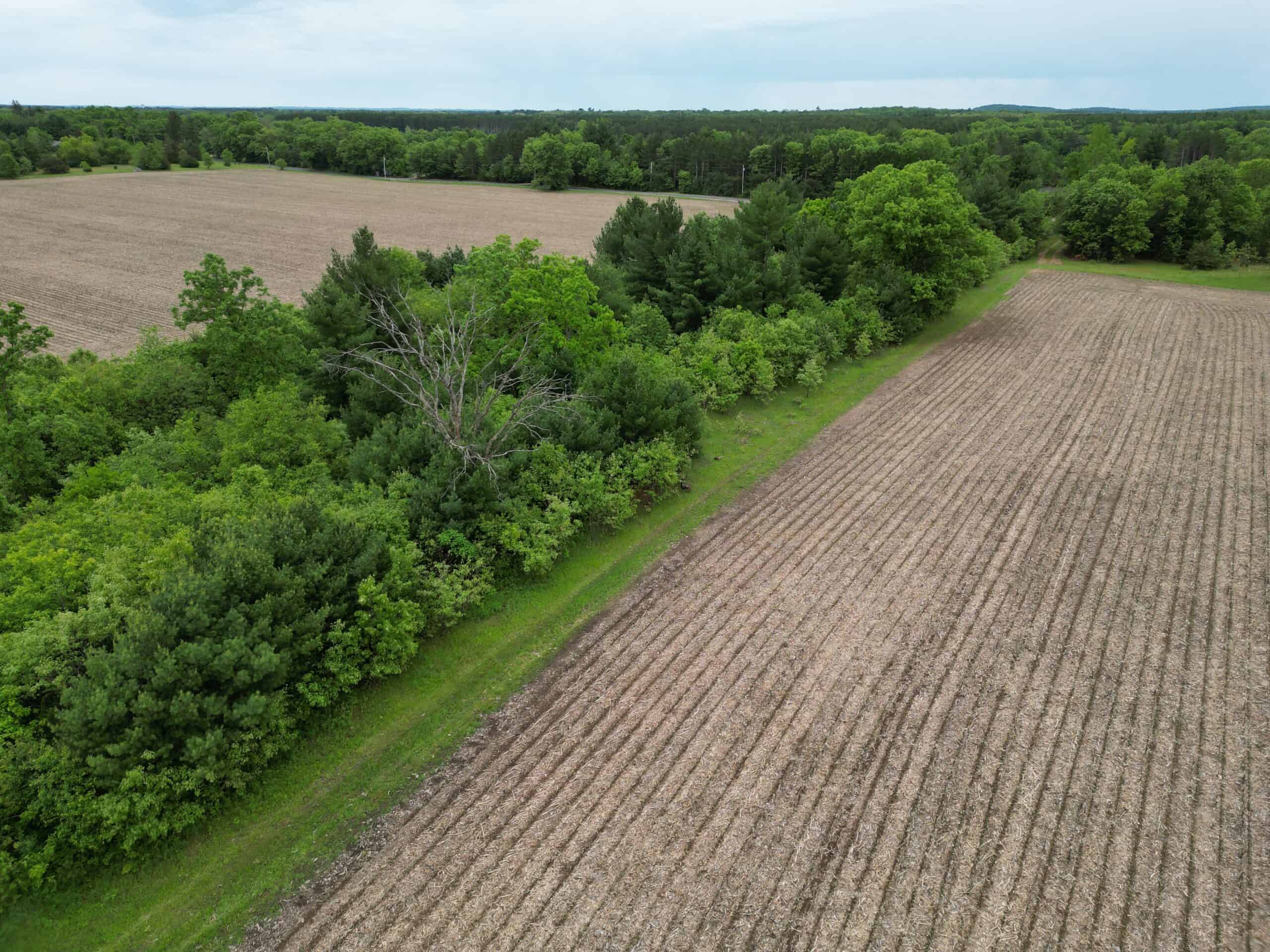70+/- Acres Located in Waushara County