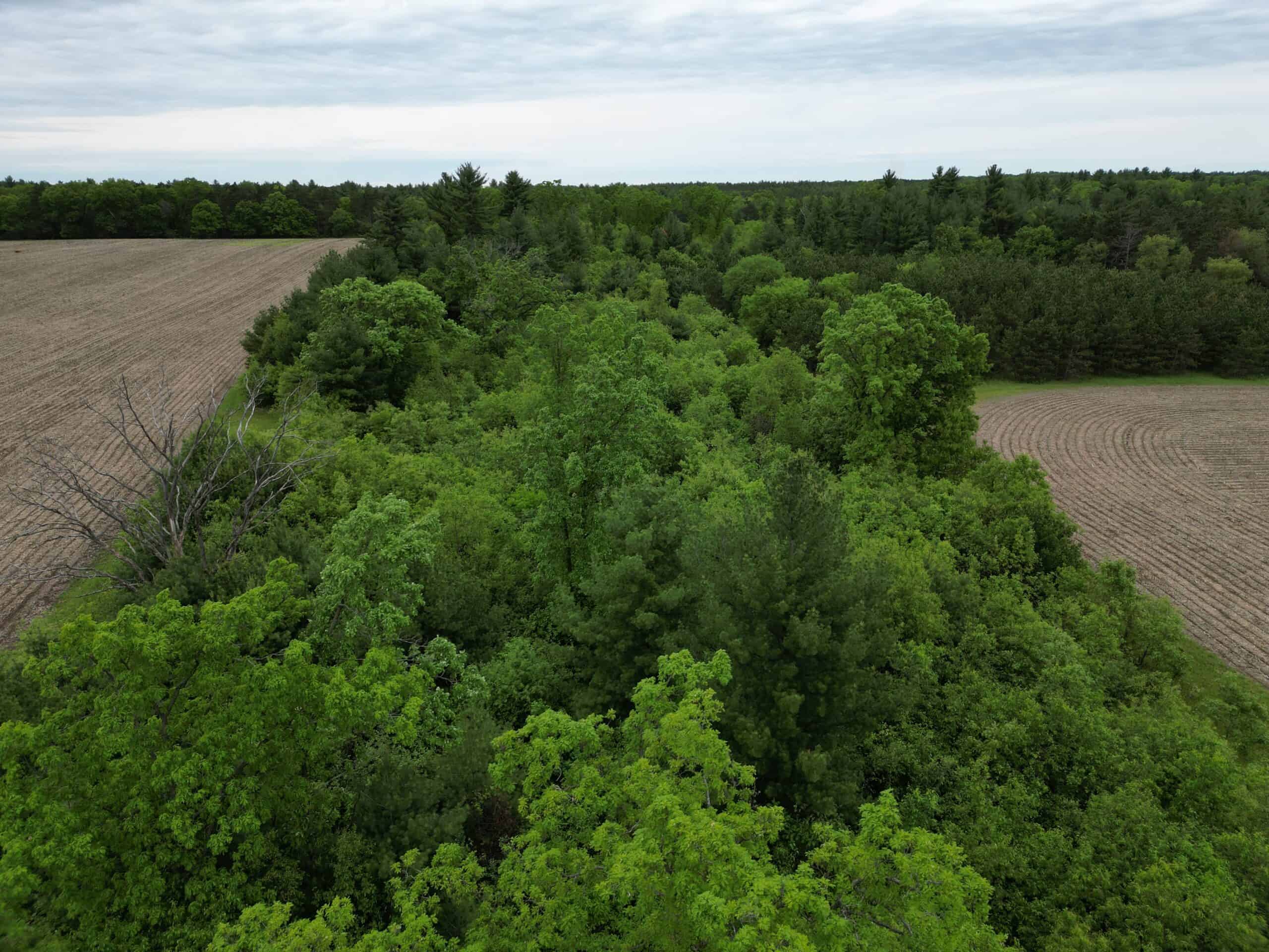 70+/- Acres Located in Waushara County