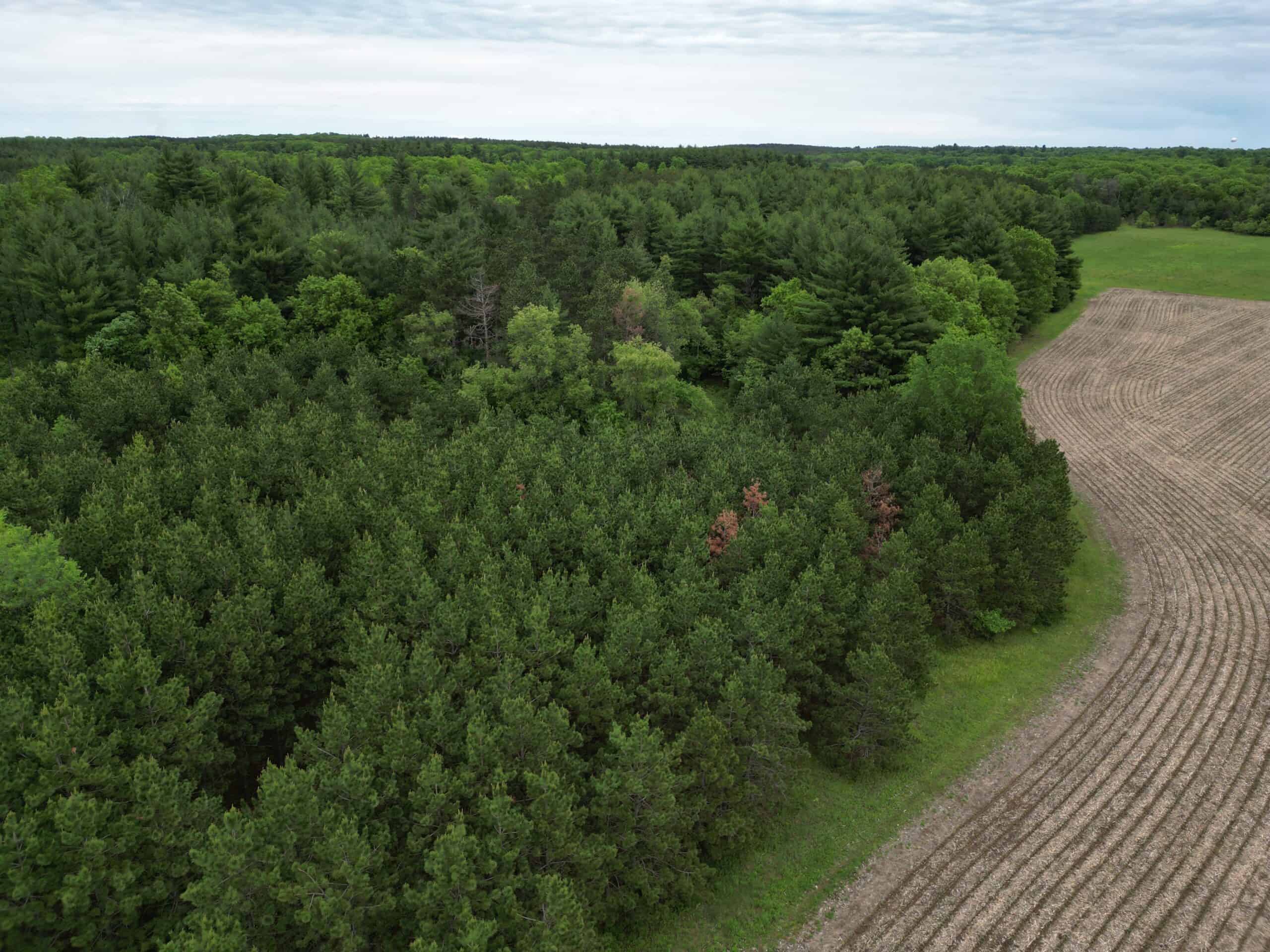 70+/- Acres Located in Waushara County