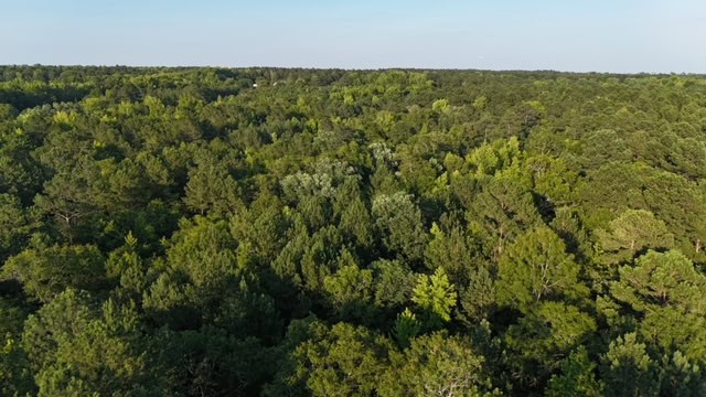 The Gillom Tract
