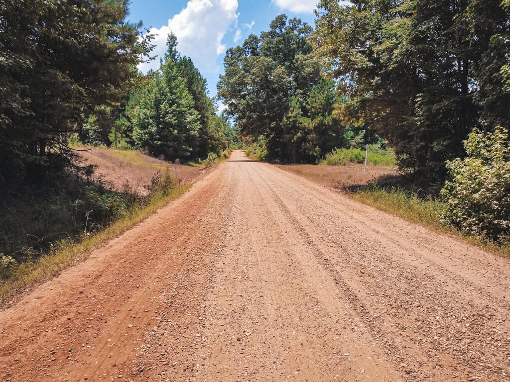 Downsville 135 – Union Parish Timberland for Sale