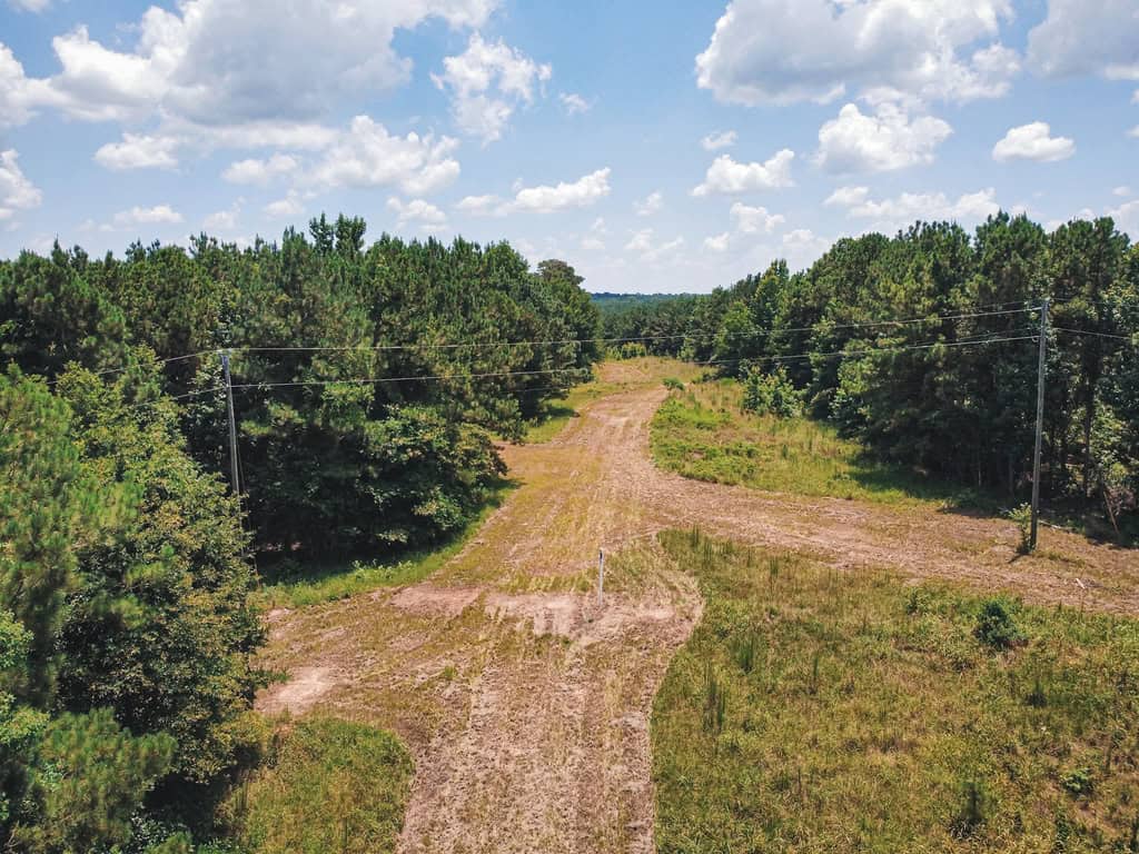 Downsville 135 – Union Parish Timberland for Sale