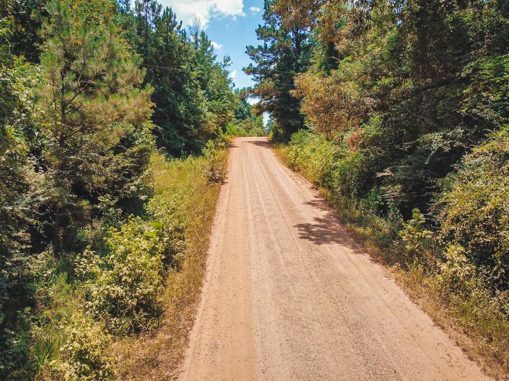 Downsville 135 – Union Parish Timberland for Sale
