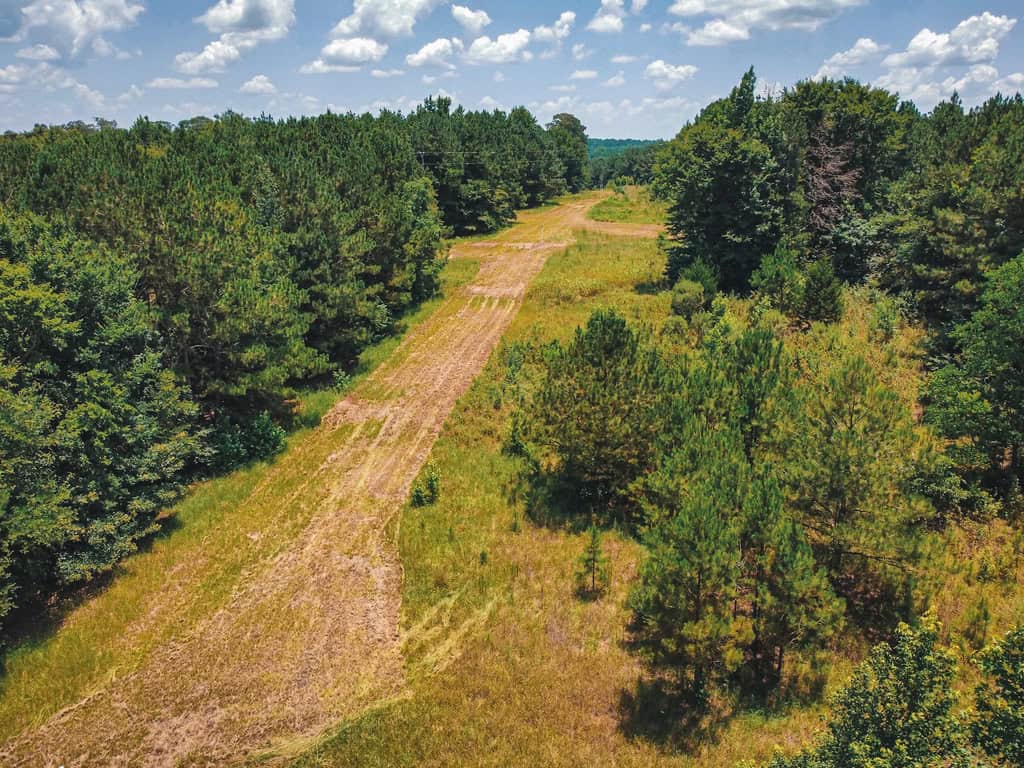 Downsville 135 – Union Parish Timberland for Sale