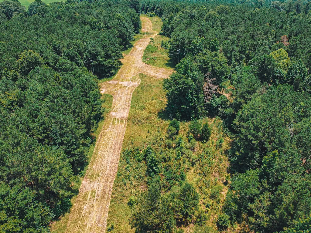 Downsville 135 – Union Parish Timberland for Sale