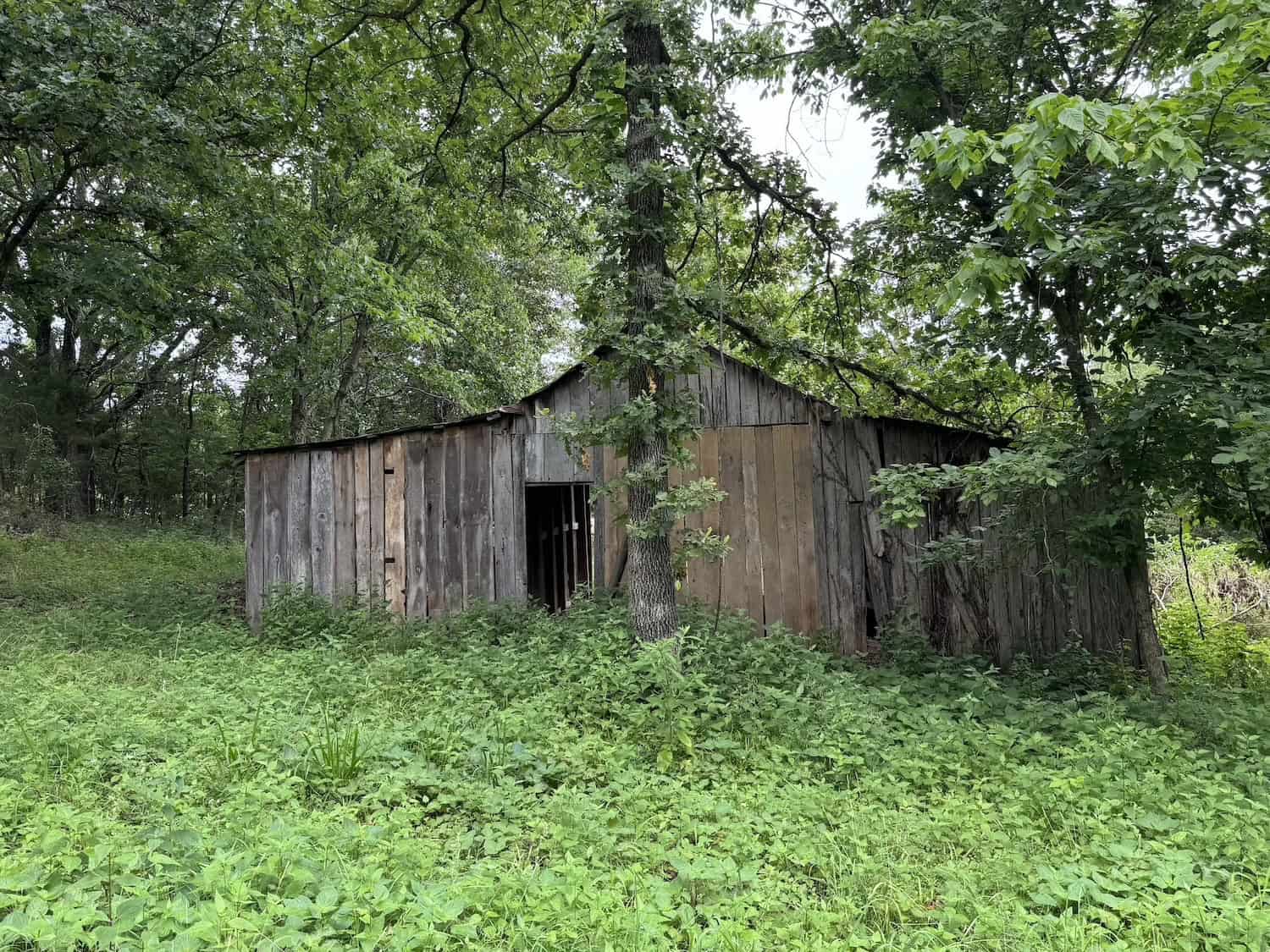 20 Vacant Acres of Hunting Land in Oregon County Missouri