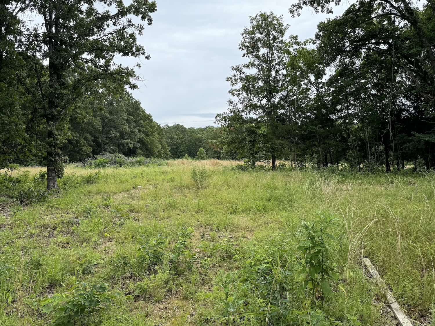 20 Vacant Acres of Hunting Land in Oregon County Missouri