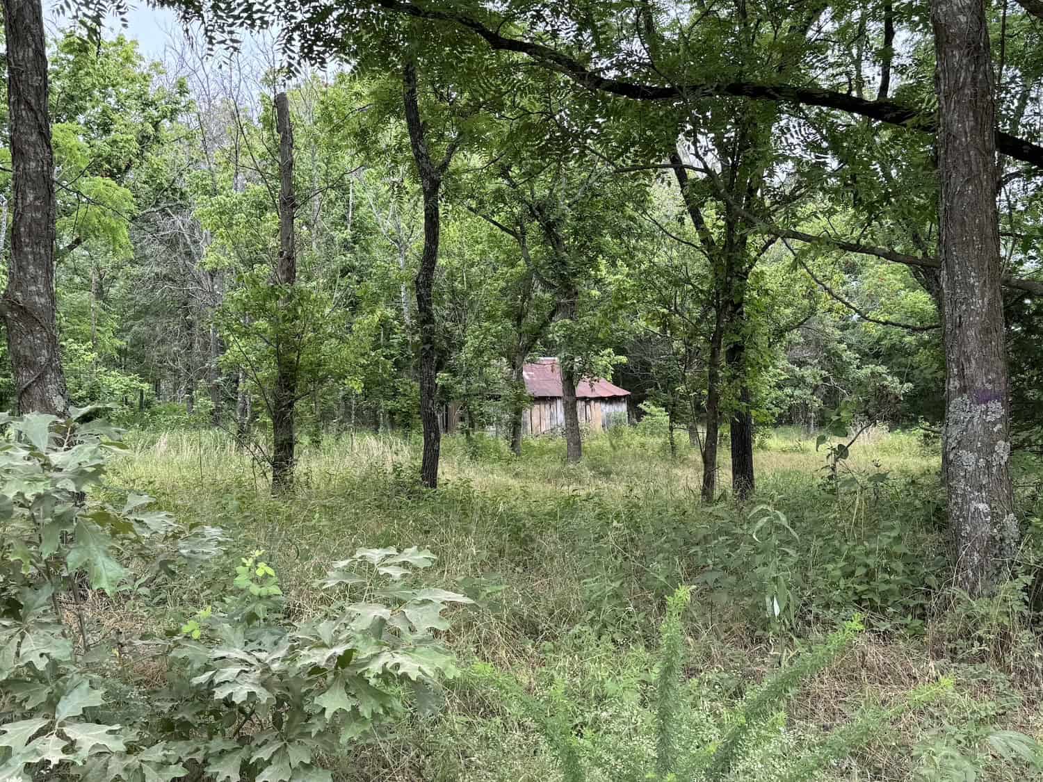 20 Vacant Acres of Hunting Land in Oregon County Missouri