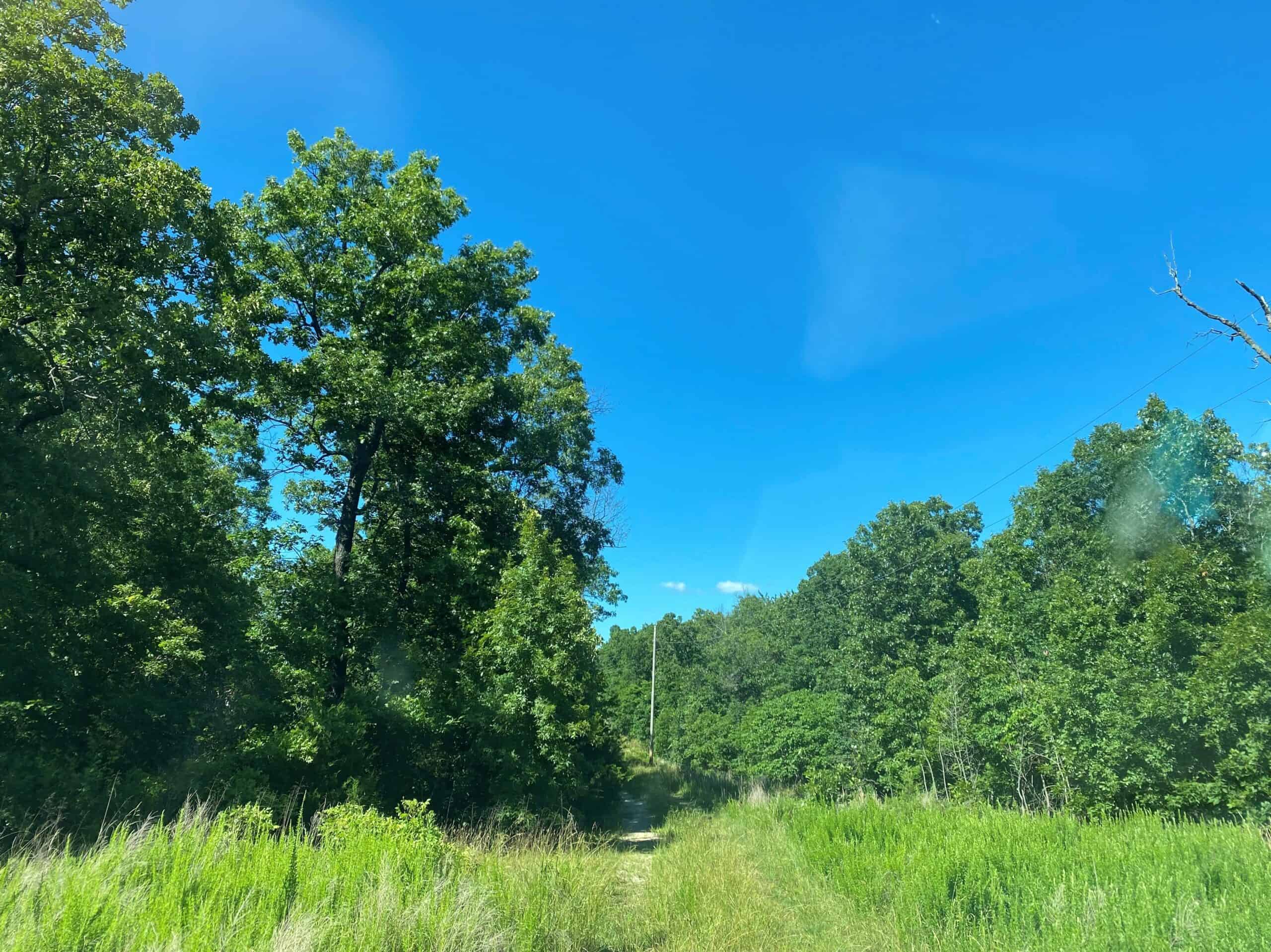 Hunting Land for Sale in Richland, MO