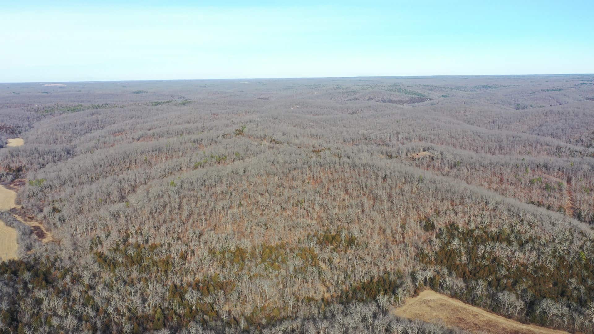 117.7 Acres Nestled on the Dent & Shannon County Line, Missouri