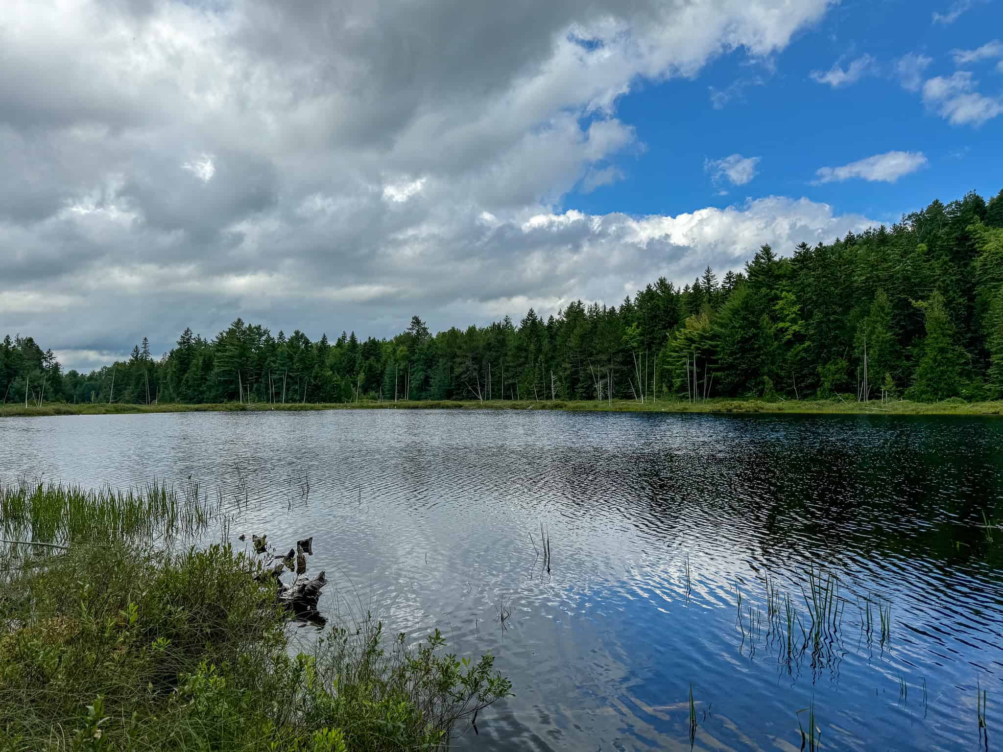 330 Acre Parcel with Waterfront