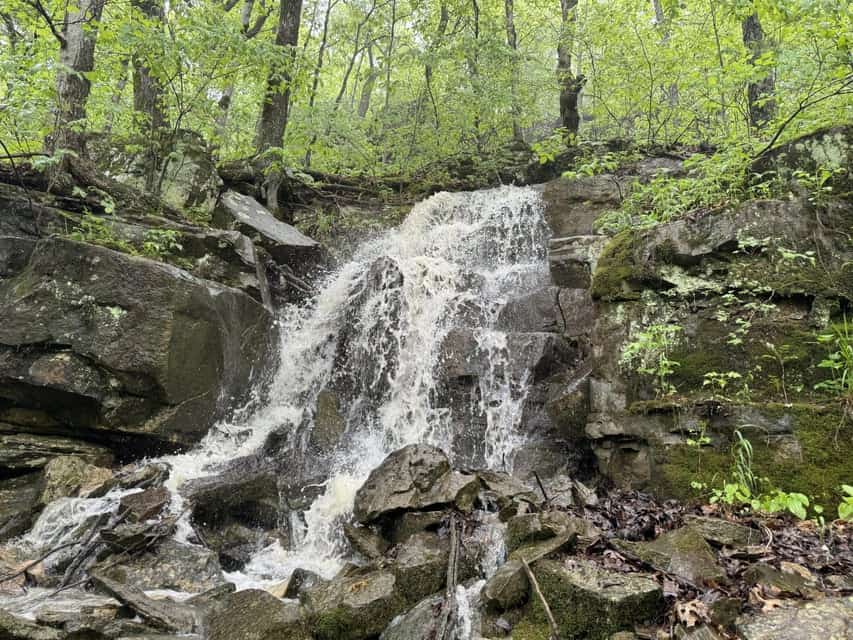 Crooked Creek on 320 Ac Hunting Land For Sale in Newton County, Arkansas