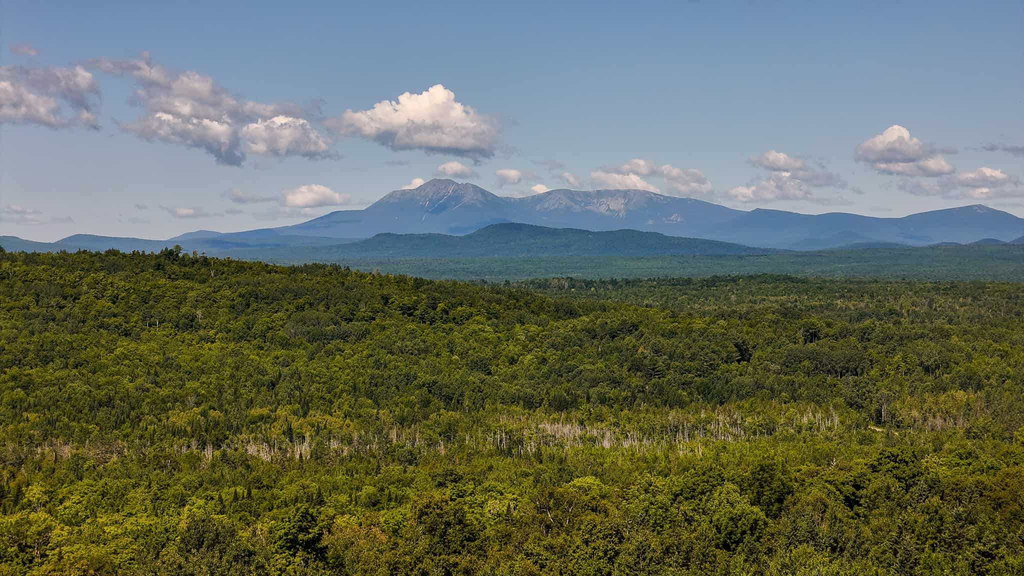 42.3 Acres of Maine Land