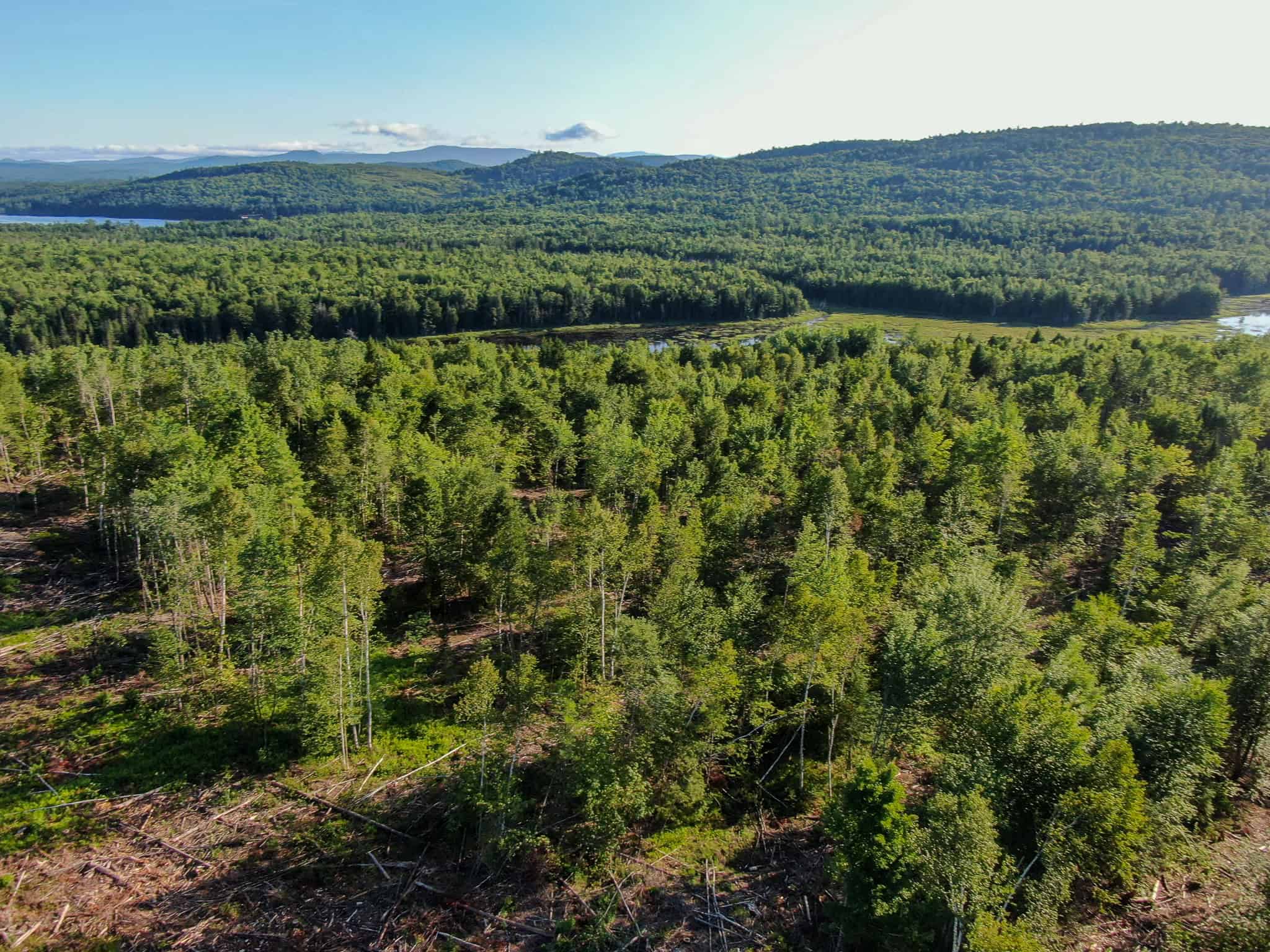 Large Year Round Accessible Maine Parcel