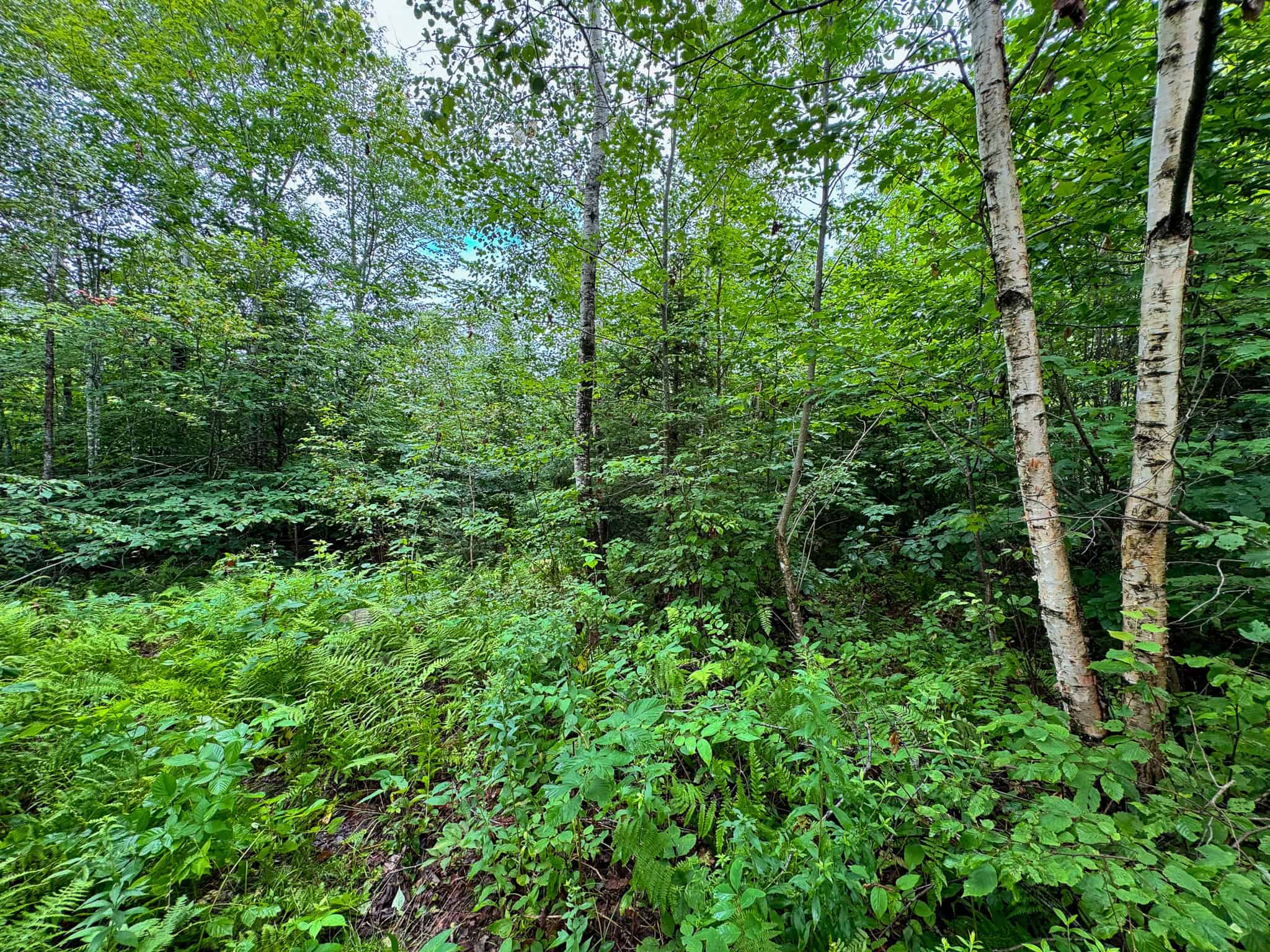 Acreage with Water Access