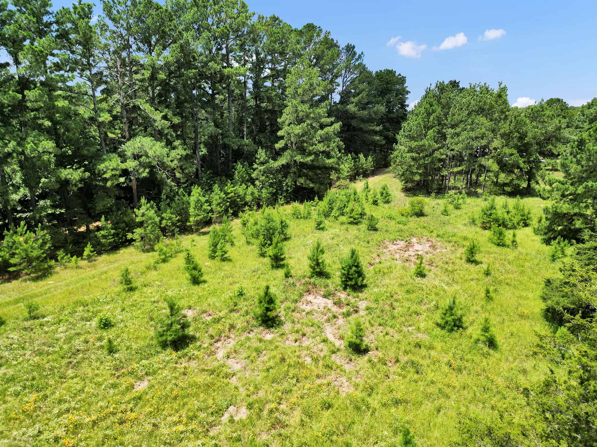 SOLD! Texas Hunting Property East of Dallas Near Lake Fork