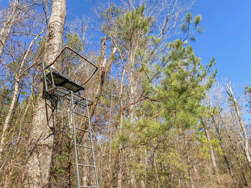 625 Acres Amite County, MS Timberland for Sale