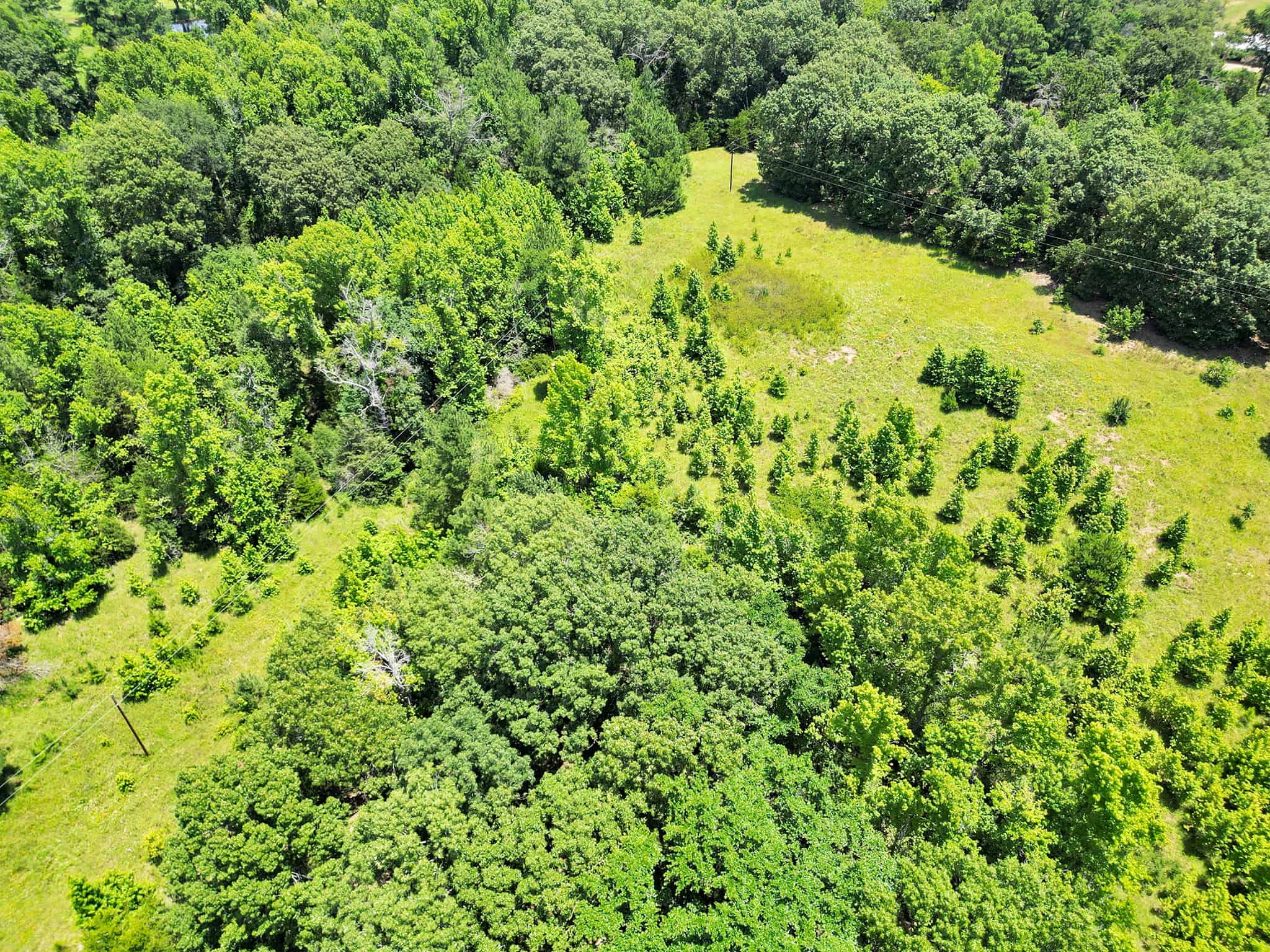 SOLD! Texas Hunting Property East of Dallas Near Lake Fork