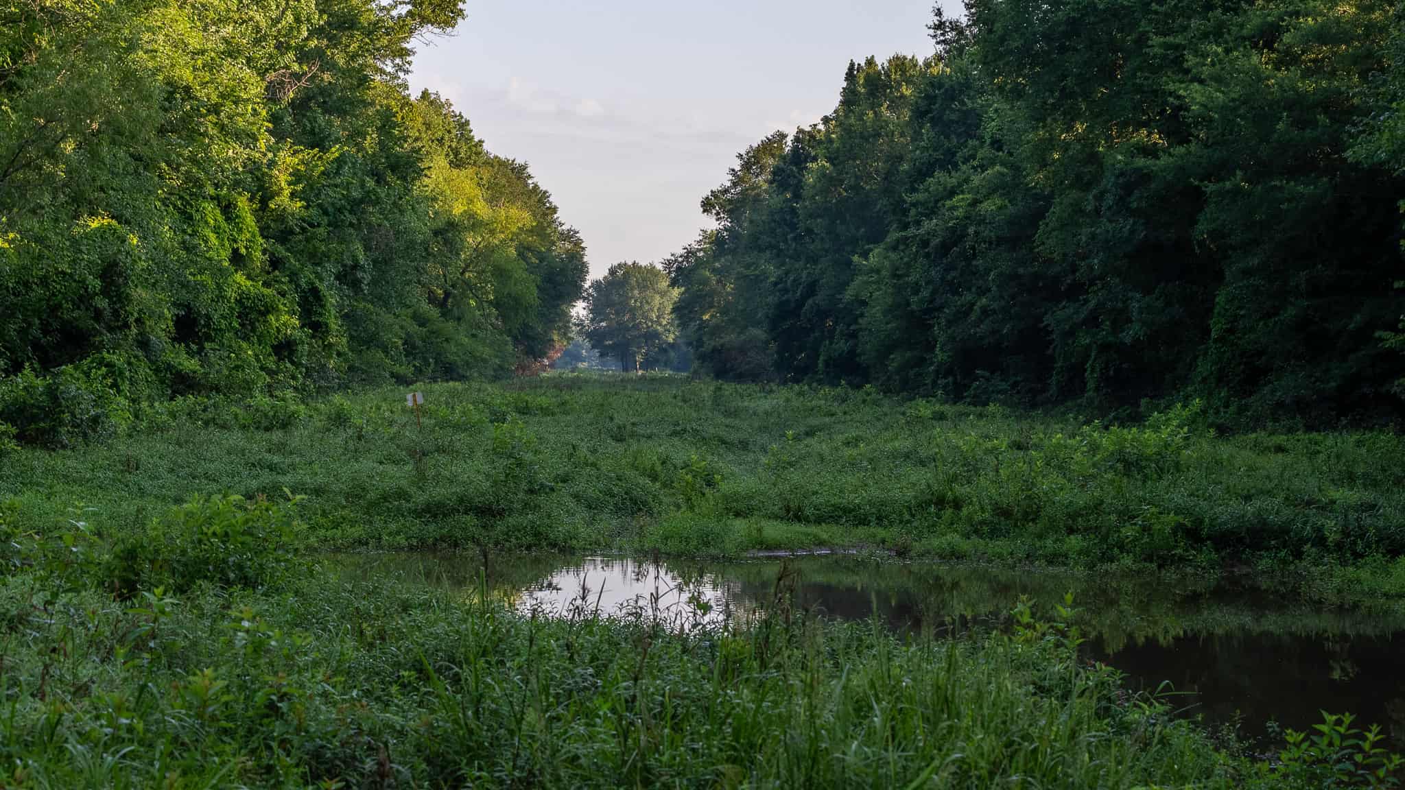 SOLD! Texas Duck Hunting Property with Log Home East of Dallas