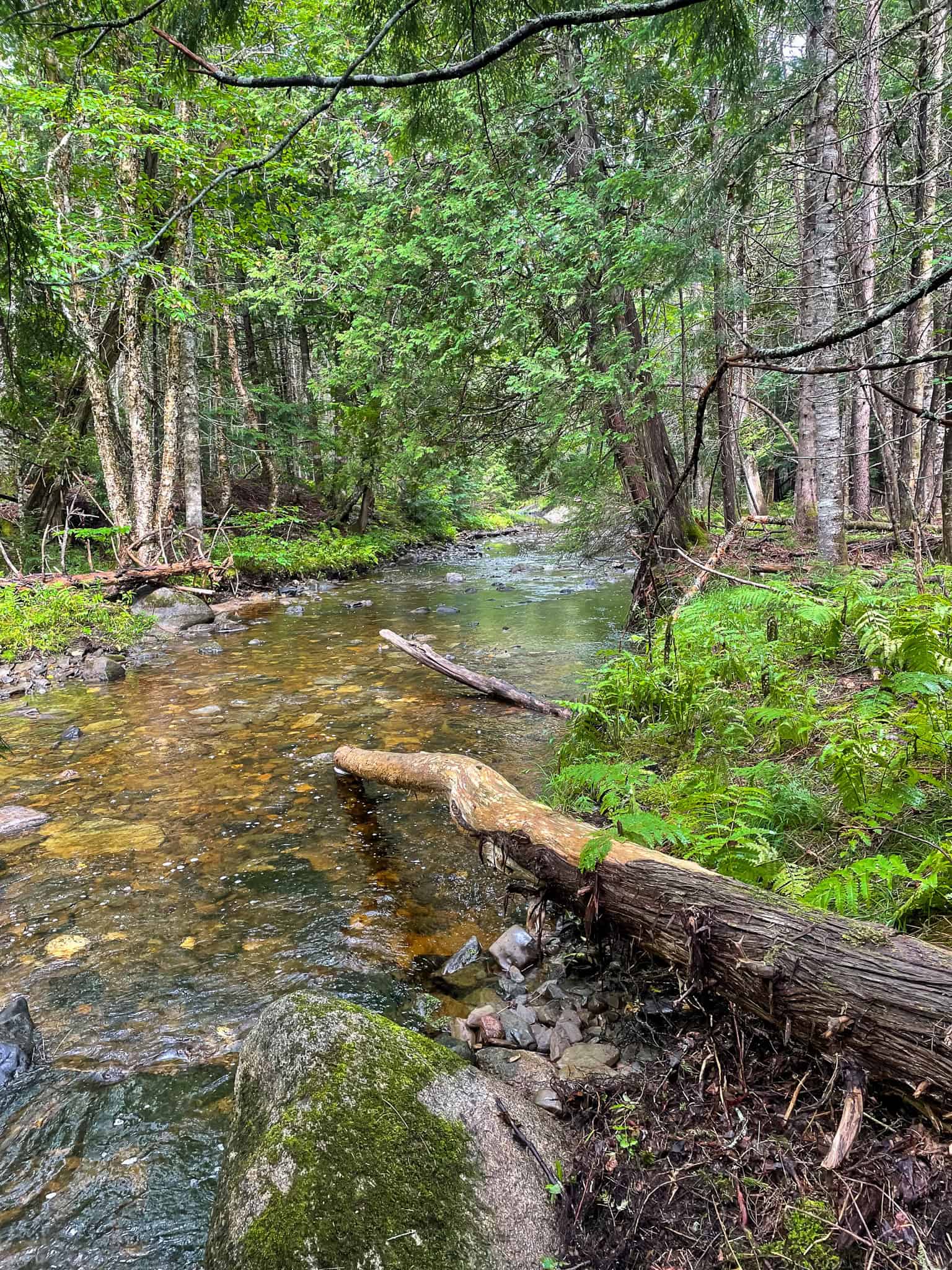 Acreage with Water Access