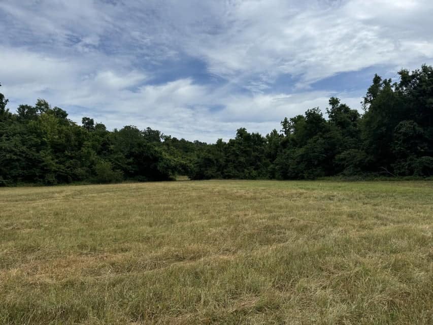 Crooked Creek on 320 Ac Hunting Land For Sale in Newton County, Arkansas