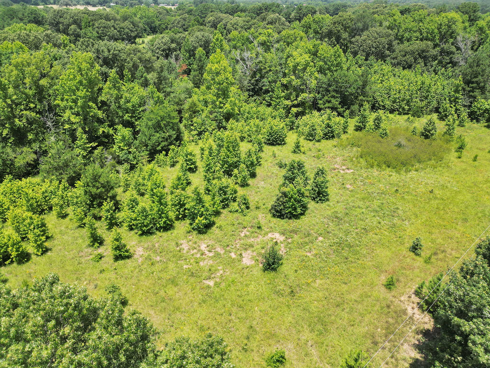 SOLD! Texas Hunting Property East of Dallas Near Lake Fork
