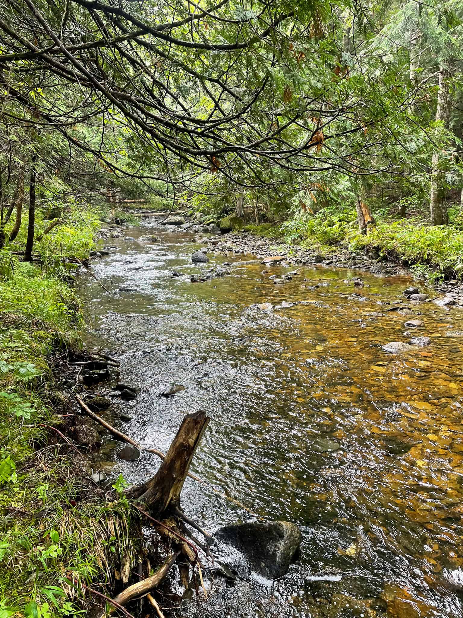 Acreage with Water Access