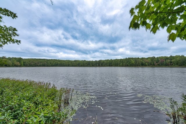 Corporate / Family Retreat For Sale – Entire Private Lake on 207 Acres