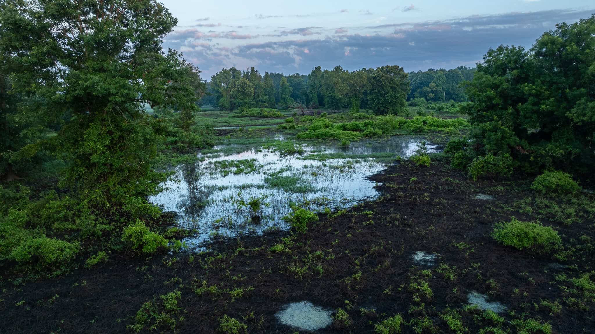 SOLD! Texas Duck Hunting Property with Log Home East of Dallas