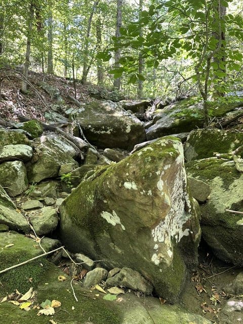 Crooked Creek on 320 Ac Hunting Land For Sale in Newton County, Arkansas