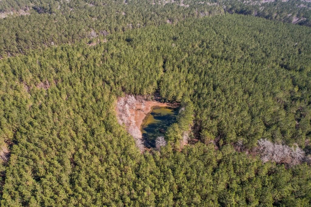 625 Acres Amite County, MS Timberland for Sale