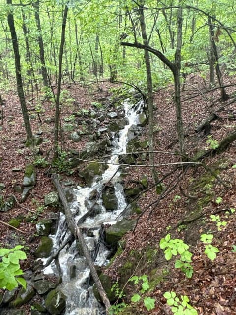 Crooked Creek on 320 Ac Hunting Land For Sale in Newton County, Arkansas
