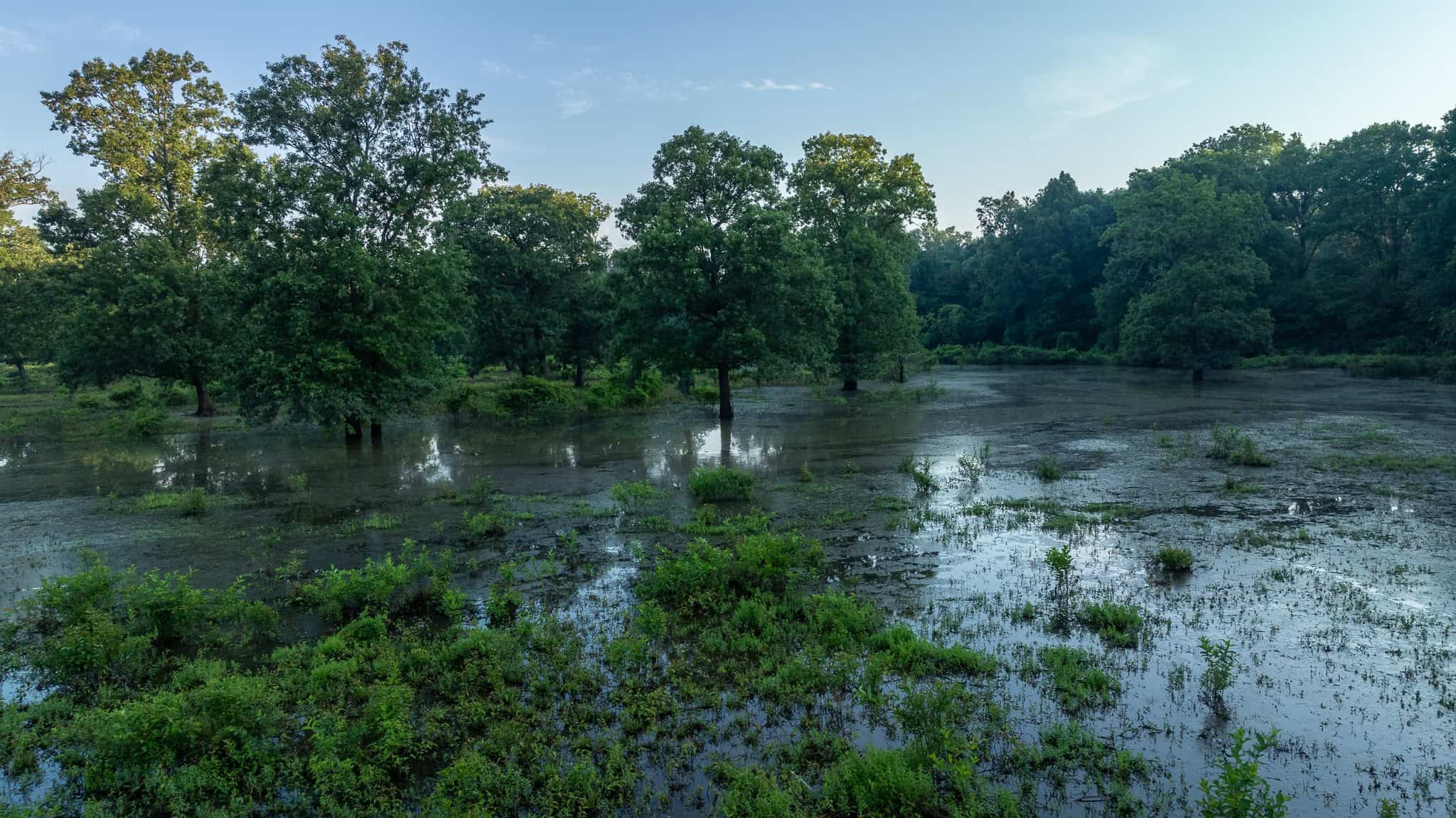 SOLD! Texas Duck Hunting Property with Log Home East of Dallas