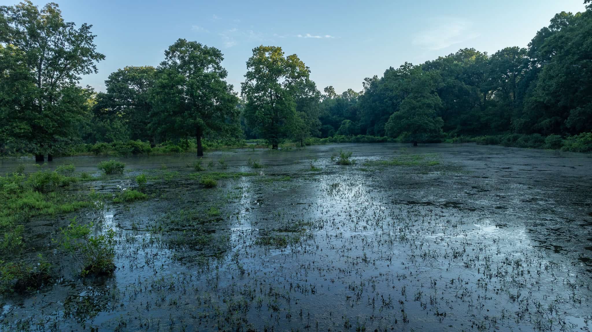 SOLD! Texas Duck Hunting Property with Log Home East of Dallas