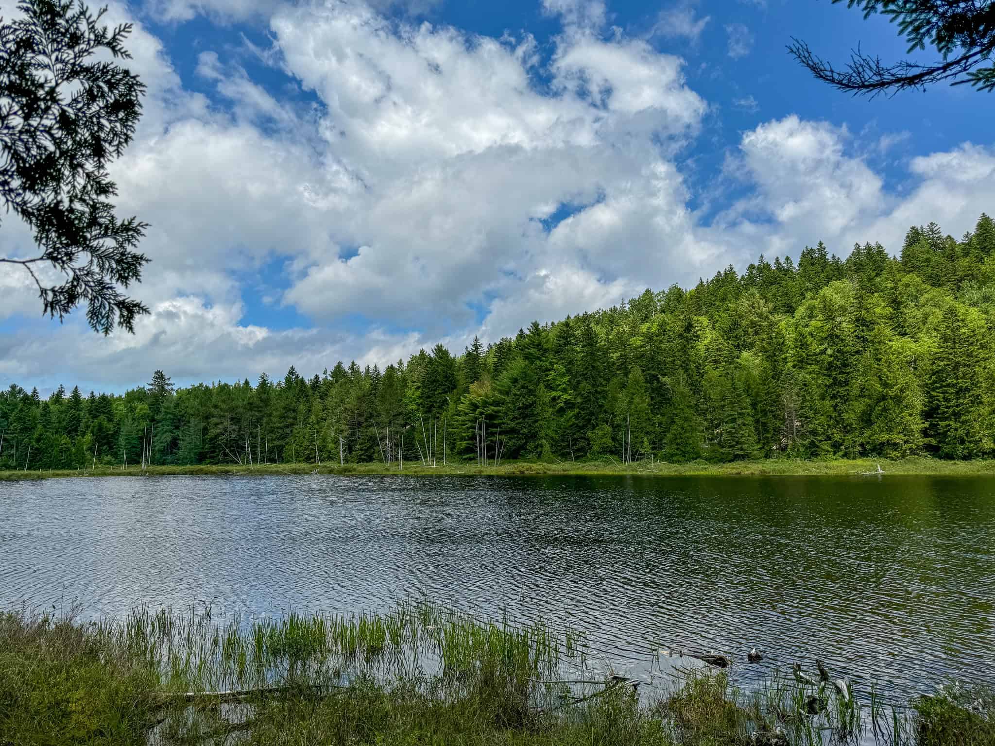 330 Acre Parcel with Waterfront