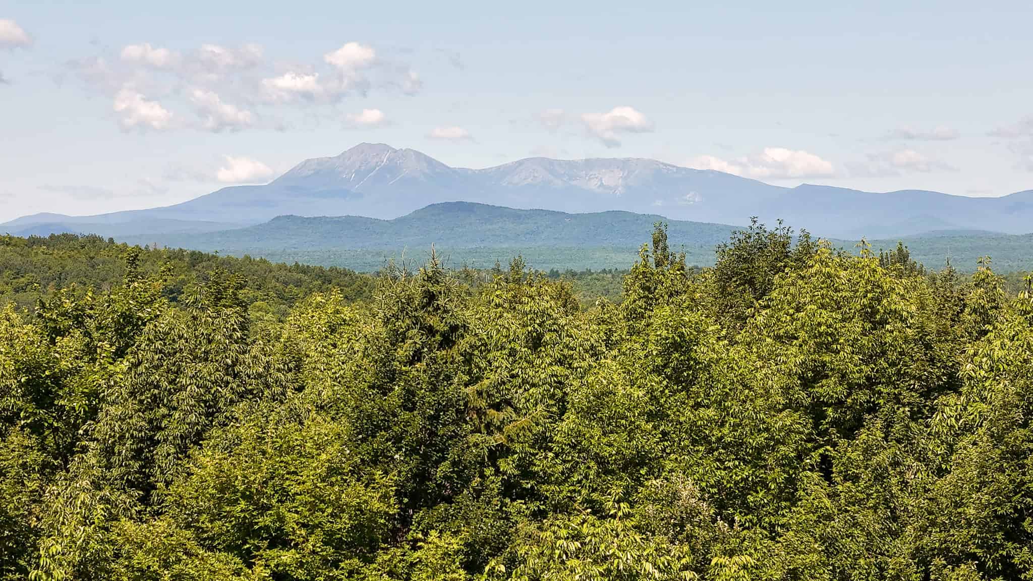 42.3 Acres of Maine Land