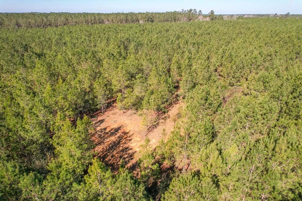 625 Acres Amite County, MS Timberland for Sale