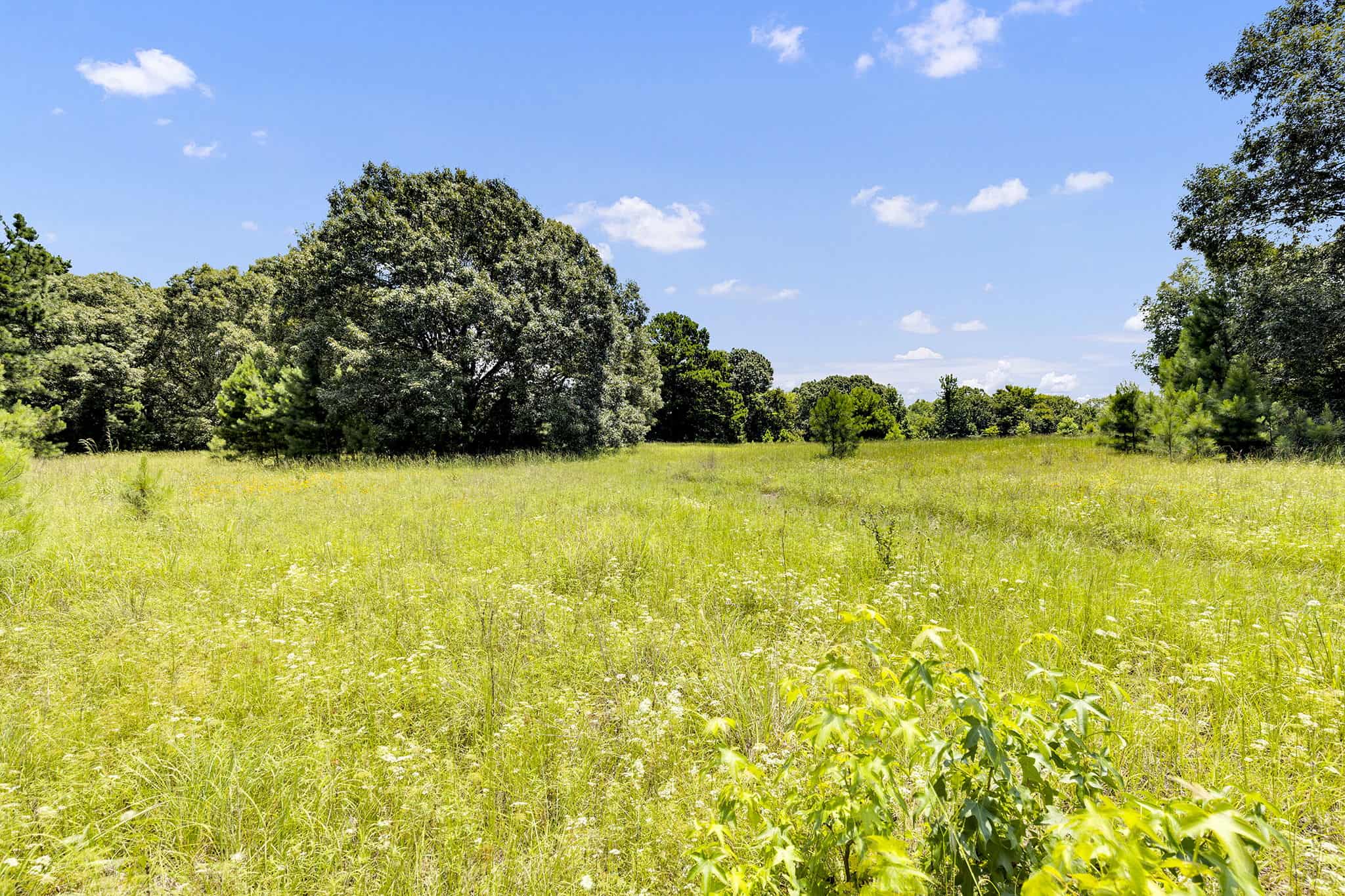 SOLD! Texas Hunting Property East of Dallas Near Lake Fork