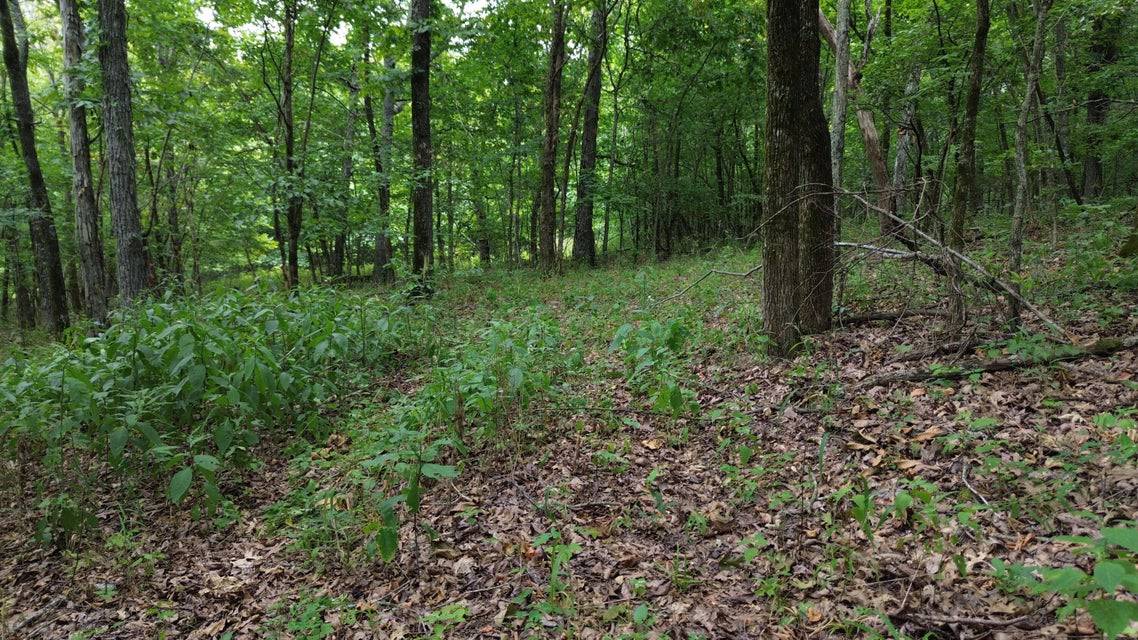 Crooked Creek on 320 Ac Hunting Land For Sale in Newton County, Arkansas