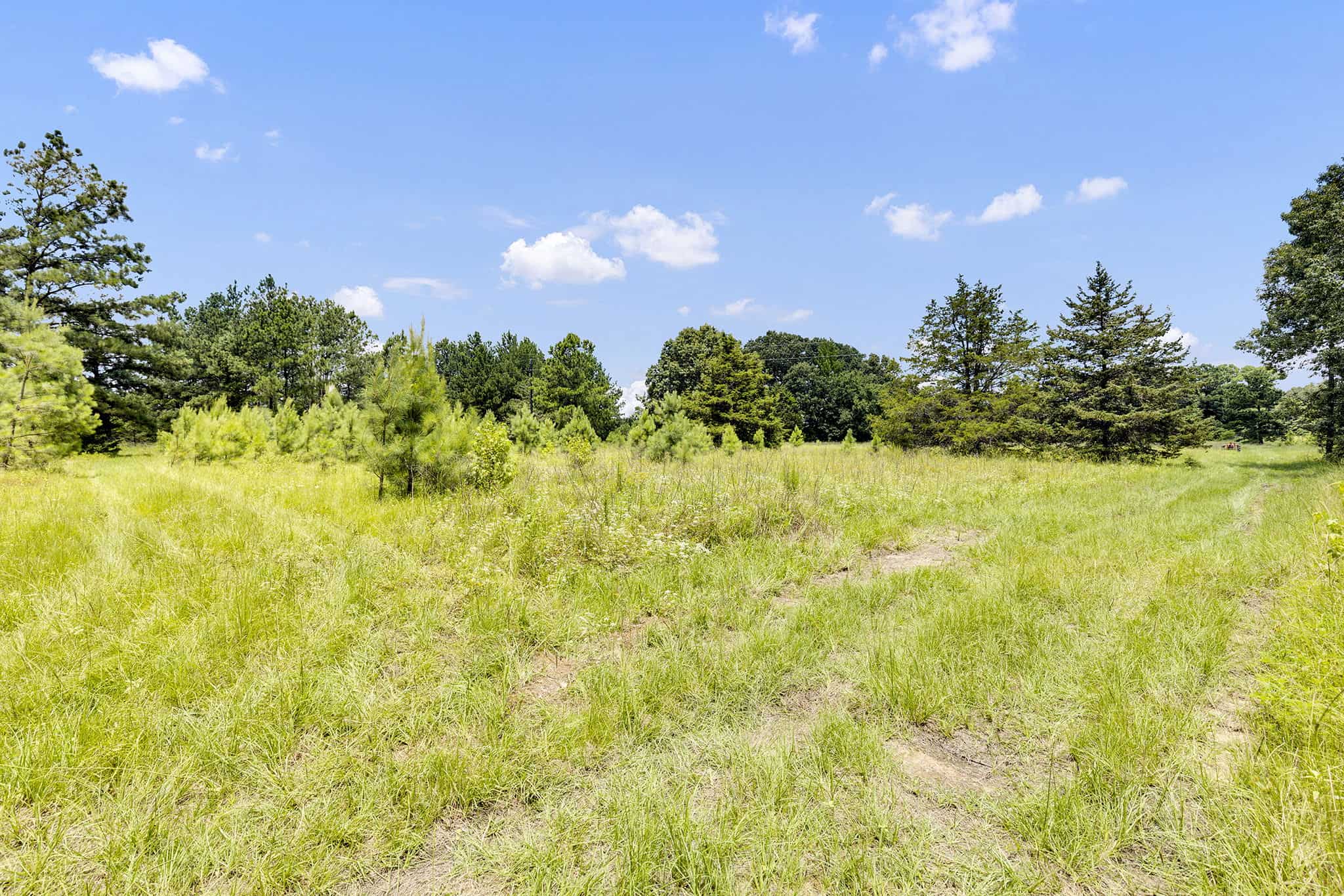 SOLD! Texas Hunting Property East of Dallas Near Lake Fork