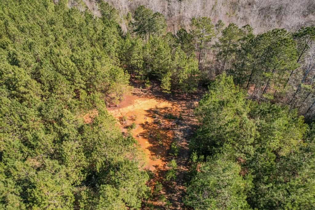 625 Acres Amite County, MS Timberland for Sale