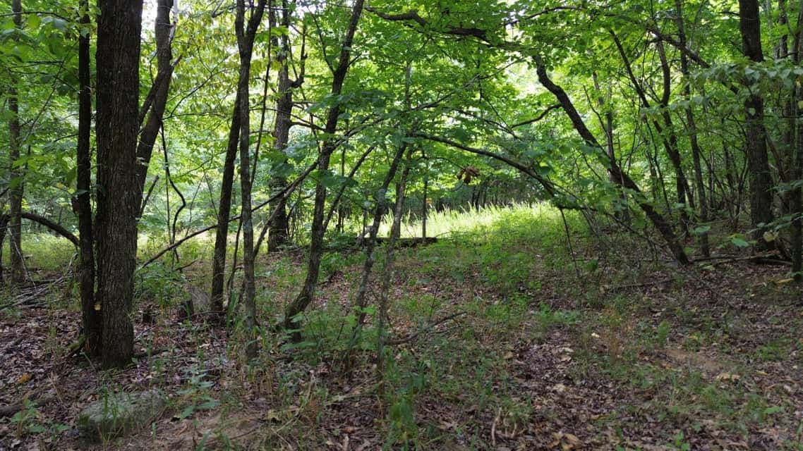 Crooked Creek on 320 Ac Hunting Land For Sale in Newton County, Arkansas