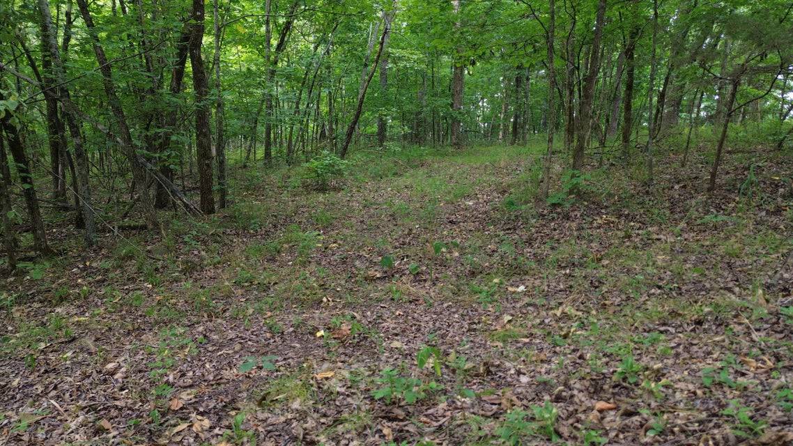 Crooked Creek on 320 Ac Hunting Land For Sale in Newton County, Arkansas